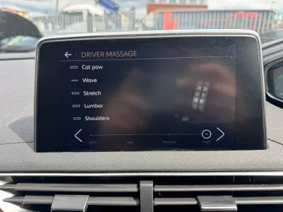 Peugeot 3008 1.5 Bluehdi Gt Line Grey #40