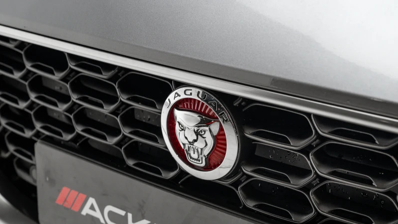 Jaguar F-Type P300 R-dynamic Grey #13