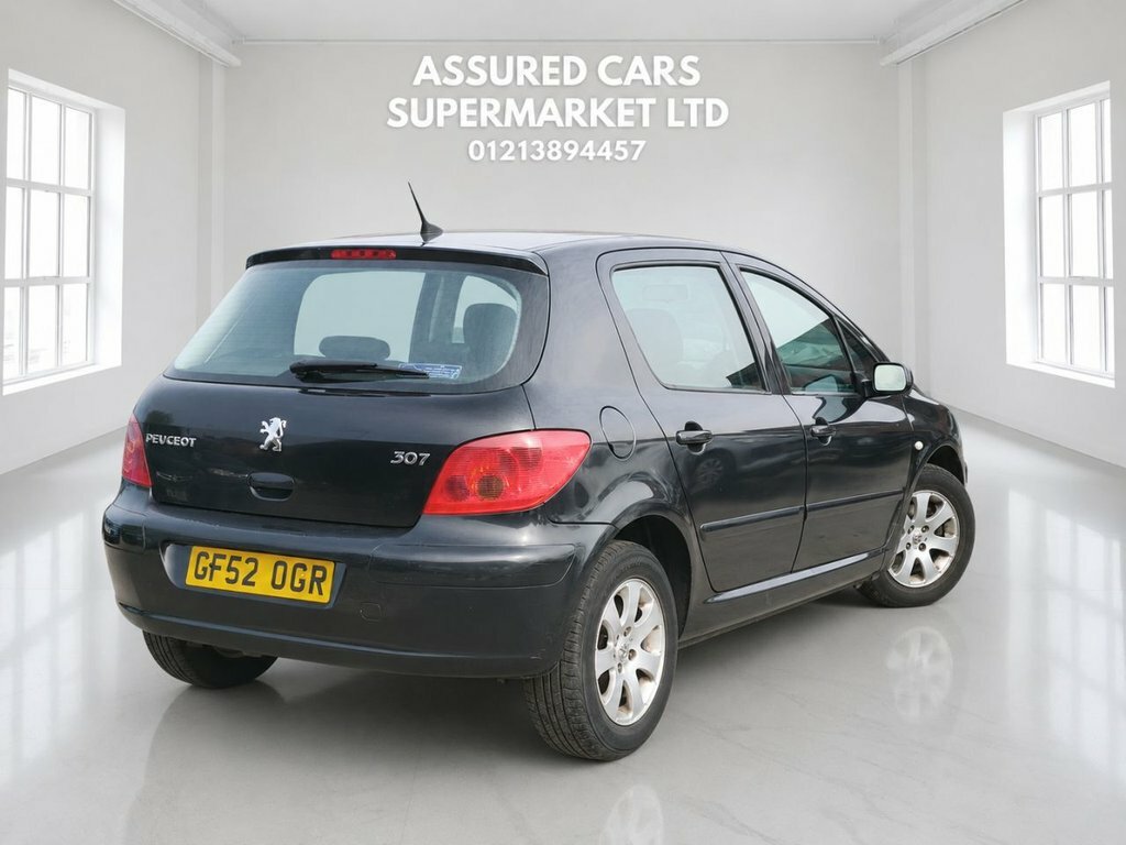 Peugeot 307 Hatchback Silver #10