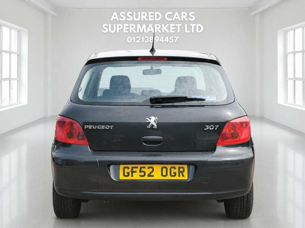Peugeot 307 Hatchback Silver #14