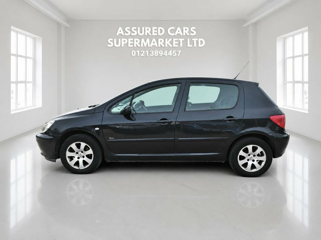 Peugeot 307 Hatchback Silver #8