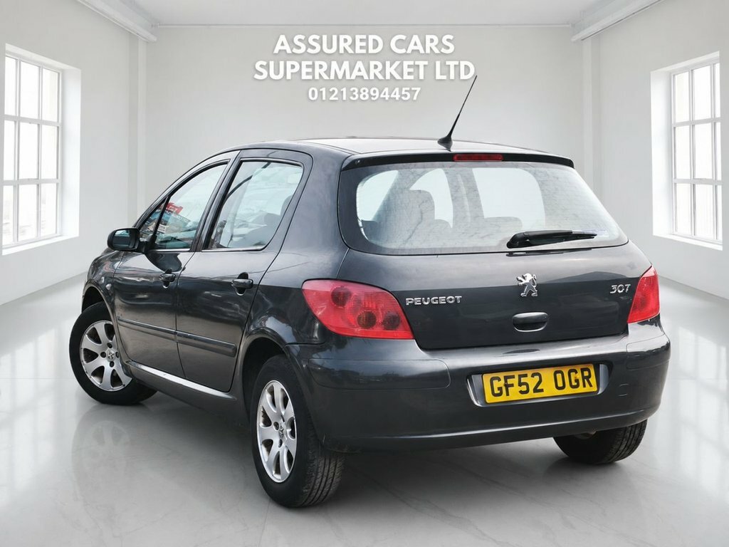 Peugeot 307 Hatchback Silver #11