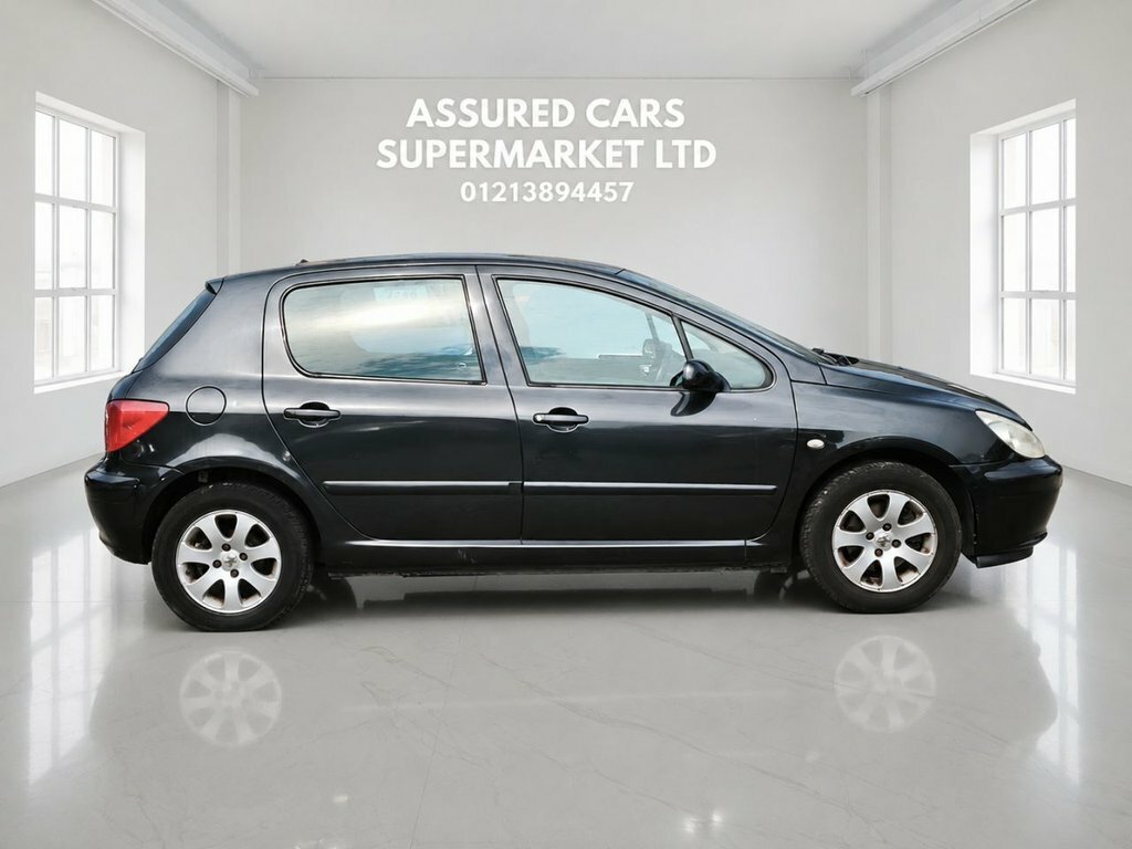 Peugeot 307 Hatchback Silver #7