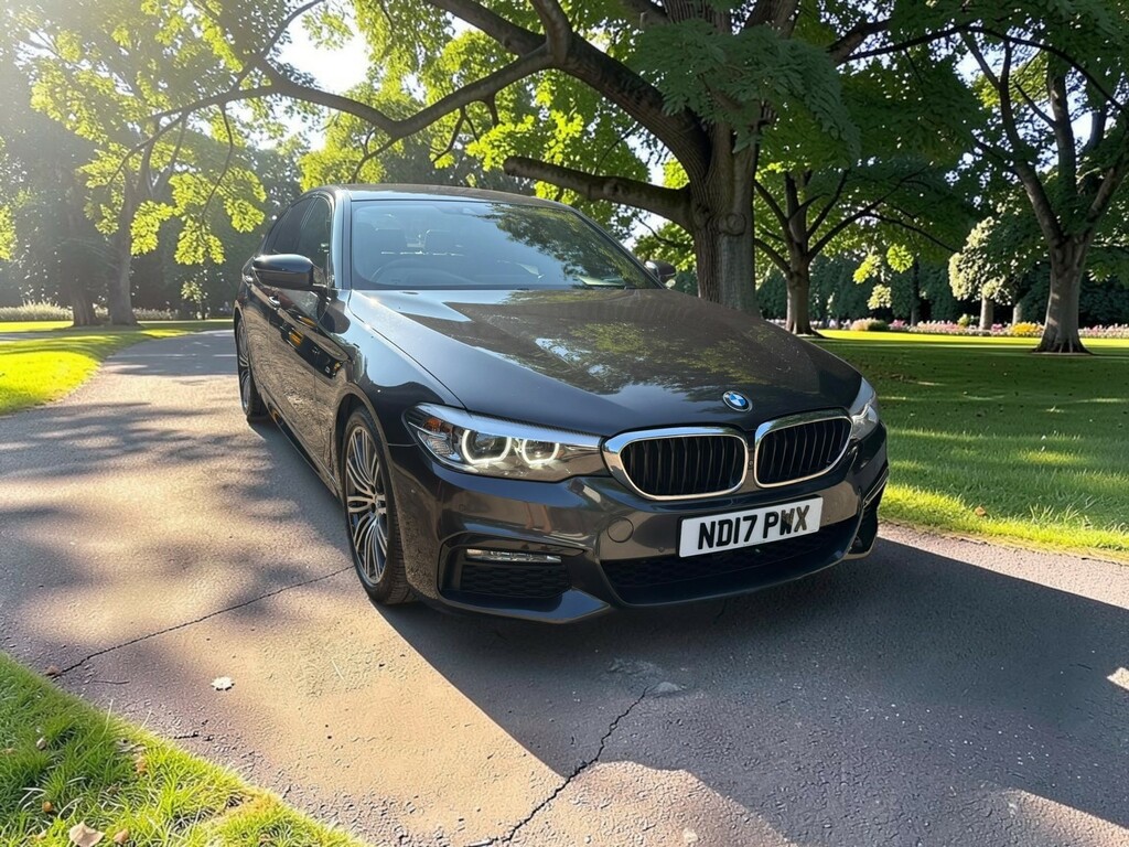 BMW 5 Series 2.0 520D Xdrive M Sport Saloon Grey #3