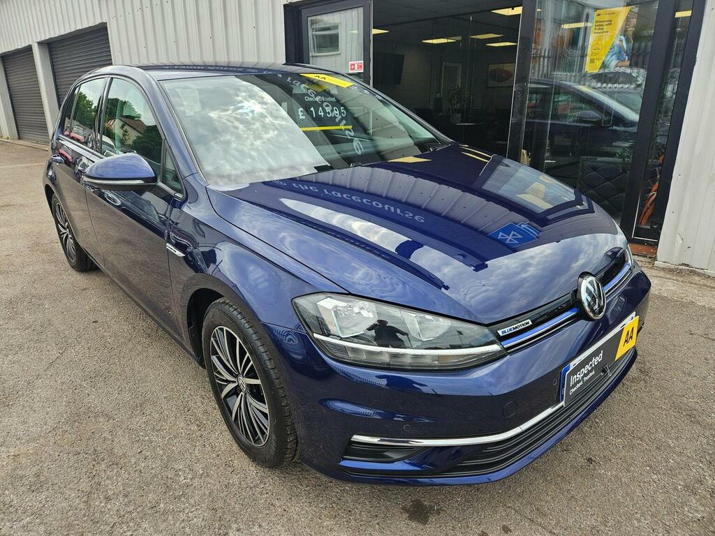 Volkswagen Golf Hatchback 1.5 Tsi Evo Se Euro 6 Ss 201868 Blue