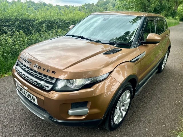 Land Rover Range Rover Evoque 2.2 Sd4 Pure Tech Suv 4Wd Euro 5 OV64UKM Brown #2