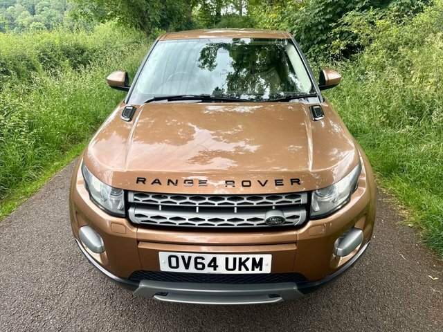 Land Rover Range Rover Evoque 2.2 Sd4 Pure Tech Suv 4Wd Euro 5 OV64UKM Brown #6