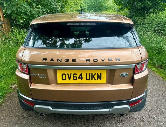Land Rover Range Rover Evoque 2.2 Sd4 Pure Tech Suv 4Wd Euro 5 OV64UKM Brown #5