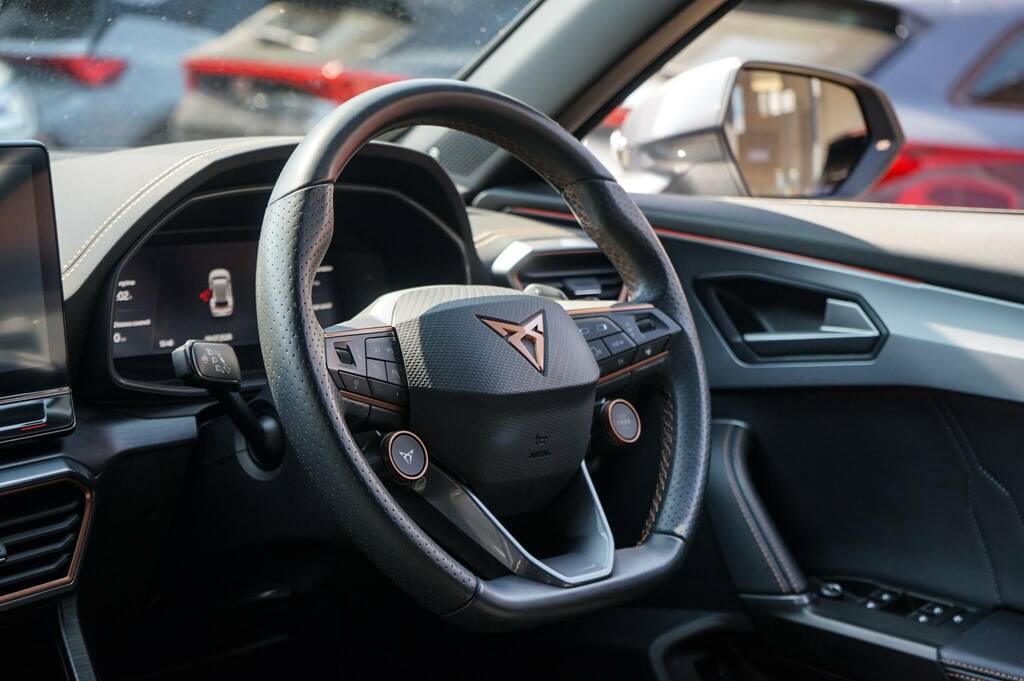 Cupra Formentor 2.0 Tsi 310 Vz3 Dsg 4Drive BT23YBR Grey #6