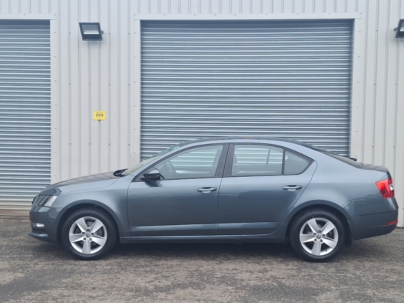 Skoda Octavia 1.0 Tsi Se Dsg Grey #4