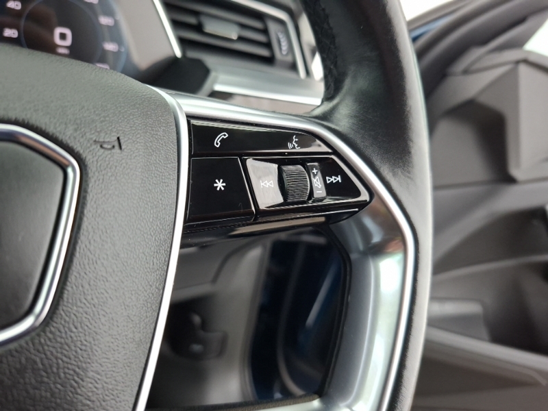 Audi E-tron 230Kw 50 Quattro 71Kwh Sport Privacy Glas Grey #13