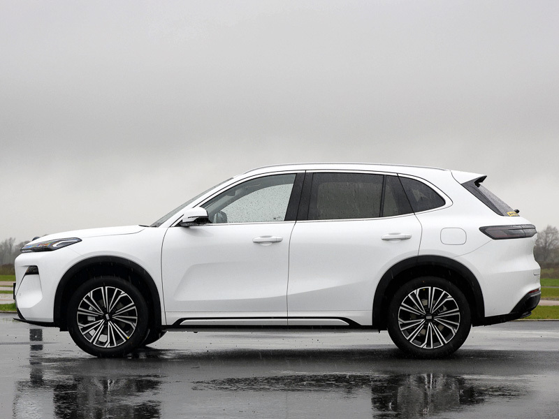 Geely Starray 1.5 Em-i Ultra White #4