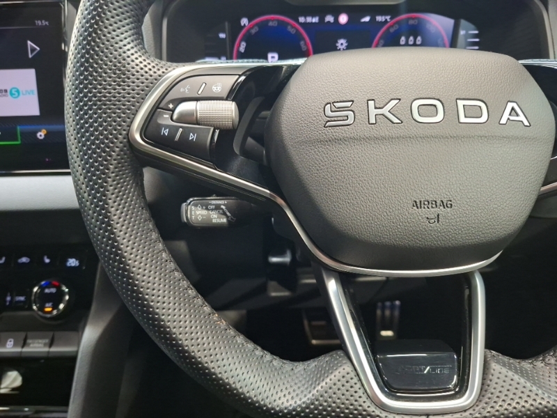 Skoda Karoq 1.5 Tsi Se L Edition Dsg Grey #12