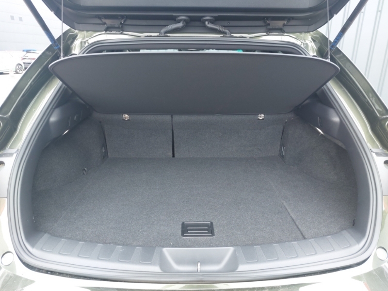 Lexus UX 250H 2.0 Cvt Premium Plussunroof  #18