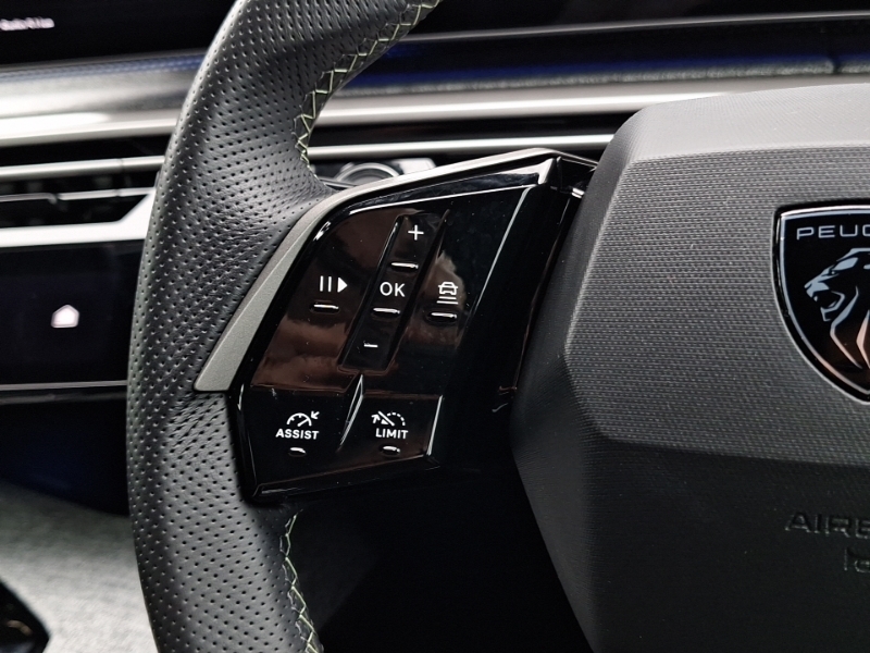 Peugeot 3008 73Kwh Gt  #12