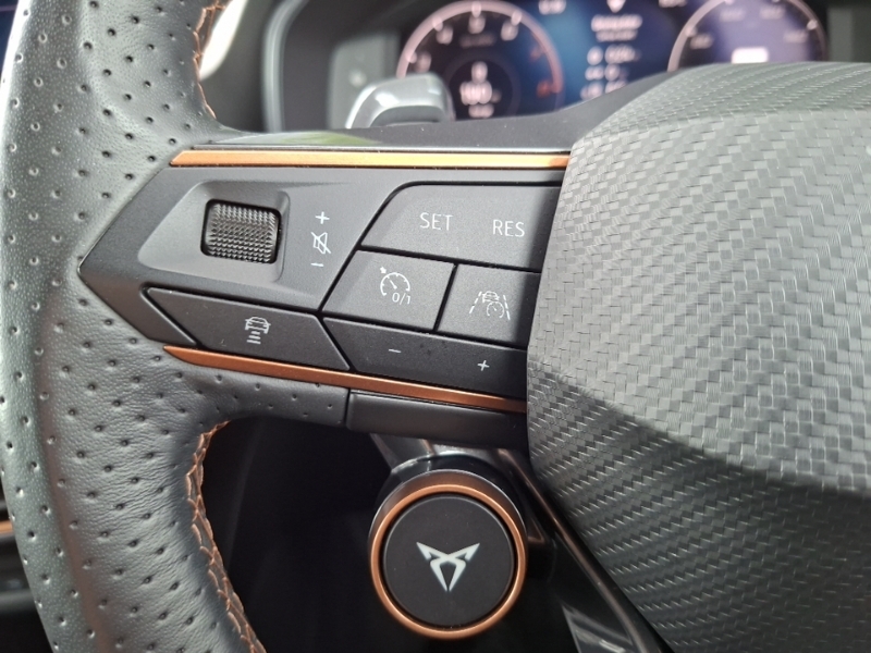 Cupra Formentor 2.0 Tsi Vz2 Suv Dsg 4Drive Euro 6 Ss Black #12