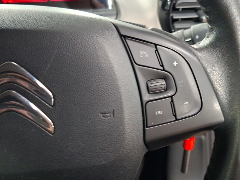 Citroen C4 Cactus 1.5 Bluehdi Flair Eat6 Euro 6 Ss Grey #13