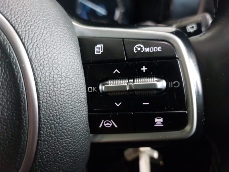 Kia Sorento Sorento 1.6 H T-gdi 4 Suv Hybrid A  #13