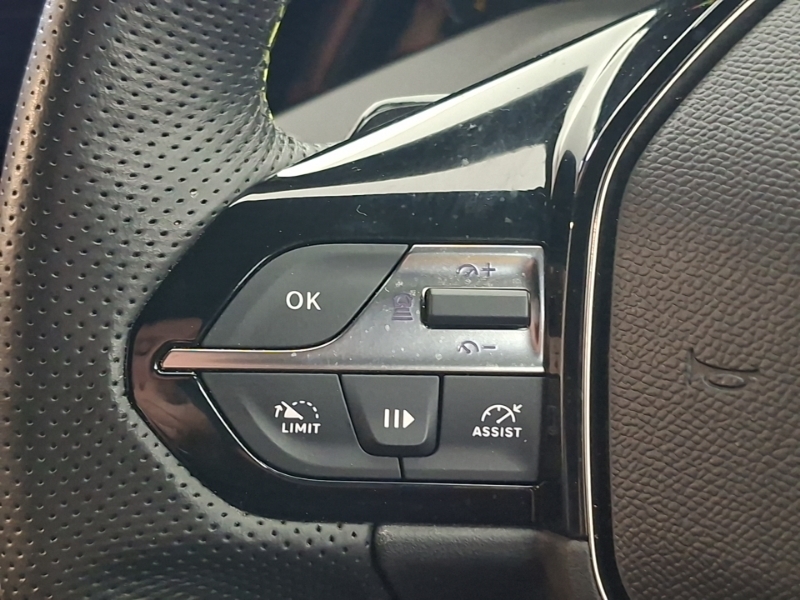 Peugeot 308 1.6 Hybrid 225 Gt Premium E-eat8 Green #12