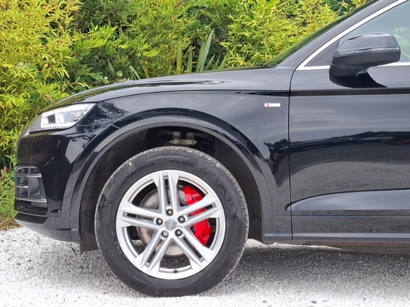 Audi Q5 2.0 Tdi 40 Black Edition S Tronic Quattro Euro 6 Grey #19