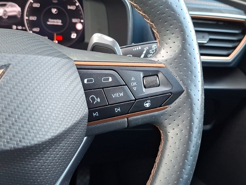 Cupra Formentor 2.0 Tsi Vz2 Suv Dsg 4Drive Euro 6 S S Black #13
