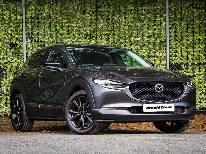 Mazda CX-30 2.5 E-skyactiv G Mhev 140 Homura Grey