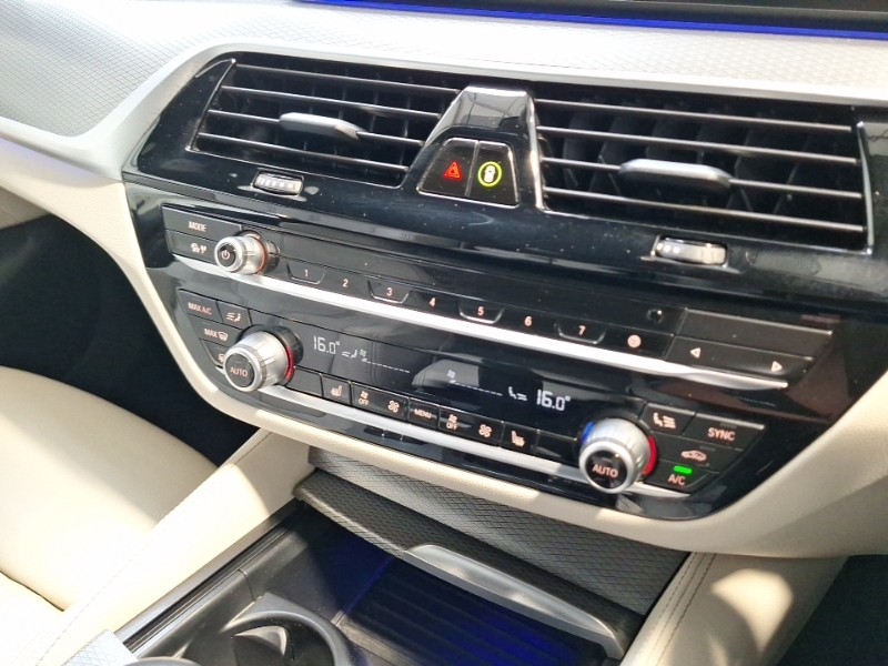 BMW 5 Series Saloon 3.0 530D M Sport Euro 6 Ss 201 Blue #17