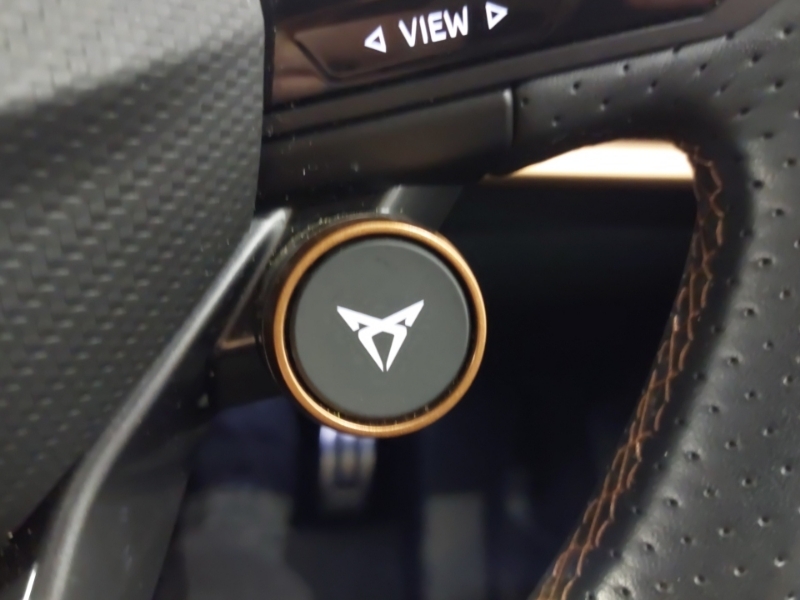 Cupra Born V2 Grey #16
