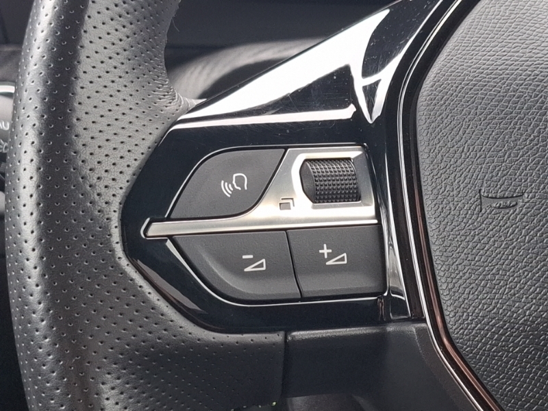 Peugeot e-2008 50Kwh Gt Suv 7Kw Charger 136 Grey #12
