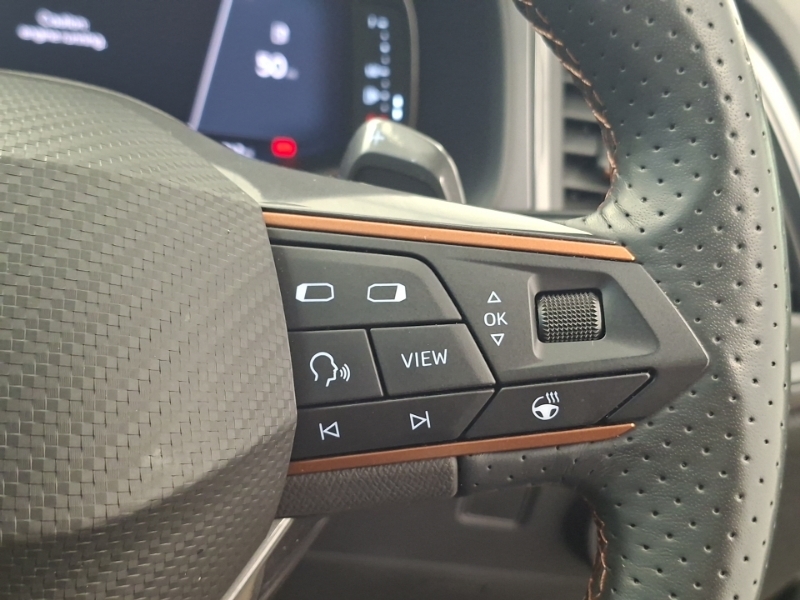 Cupra Ateca 1.5 Ecotsi V2 Dsg Grey #13