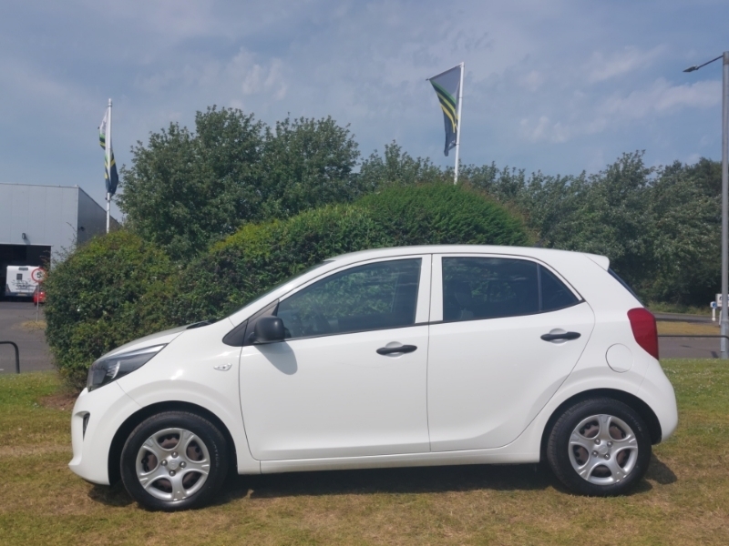 Kia Picanto 1.0 1 White #4