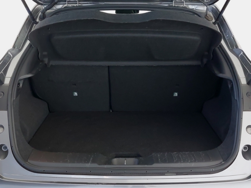 Nissan Juke Automatic  #18