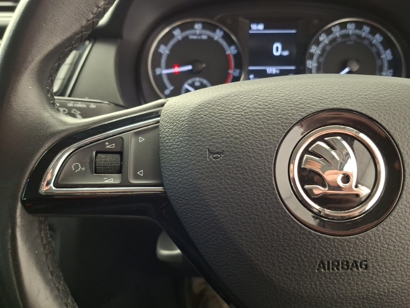 Skoda Fabia Grey #12
