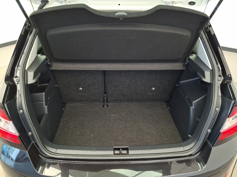 Skoda Fabia Grey #18