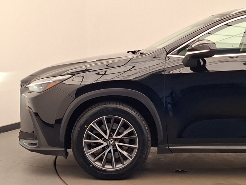 Lexus NX 350H Black #19