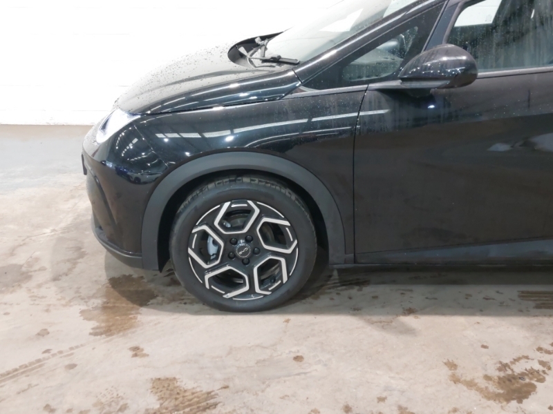 Byd Dolphin 30Kwh Active  #19