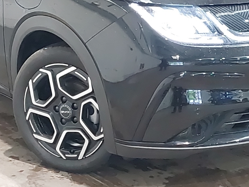 Byd Dolphin 30Kwh Active  #20