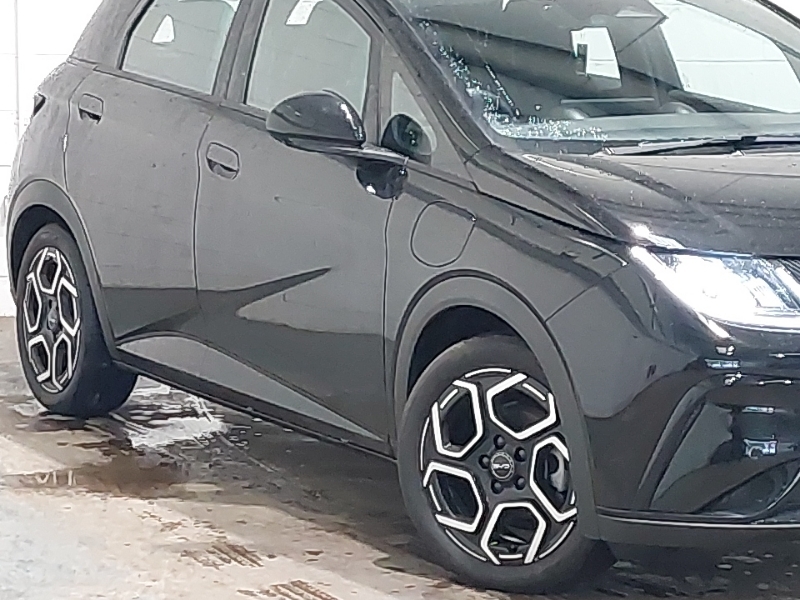 Byd Dolphin 30Kwh Active  #7