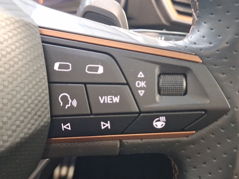 Cupra Leon 1.5 Tsi V1 Grey #13