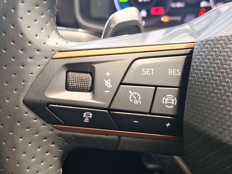 Cupra Leon 1.5 Tsi V1 Grey #12