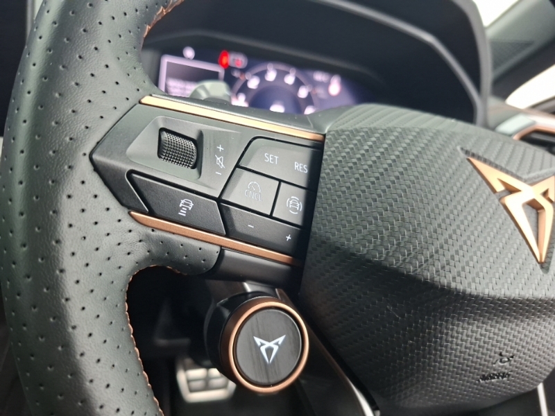 Cupra Formentor 1.5 Ehybrid 204 V2 Dsg  #12