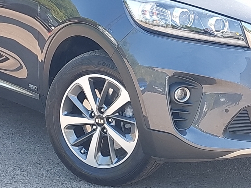 Kia Sorento  White #20