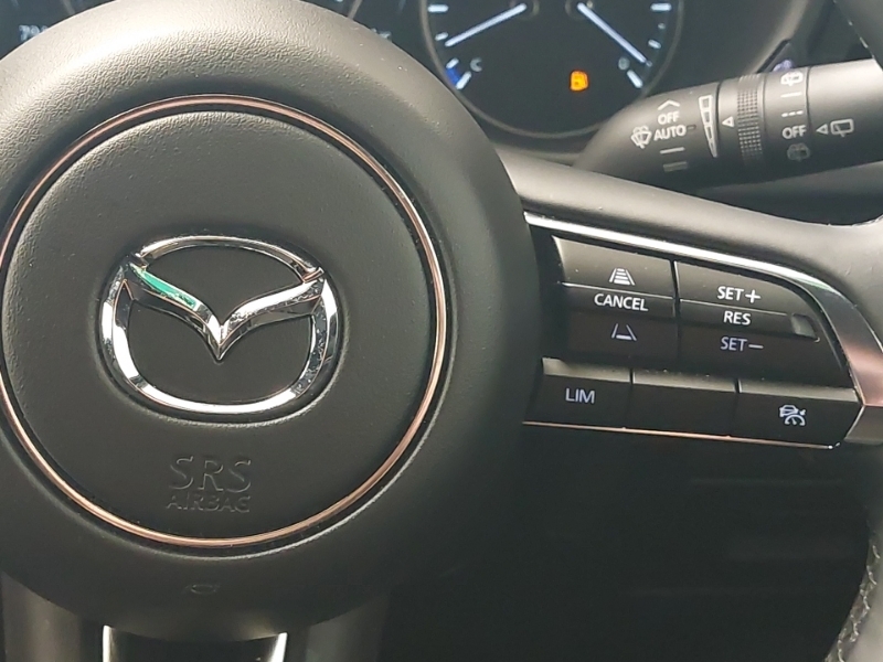 Mazda 3 2.5 E-skyactiv G Mhev 140 Homura Red #12