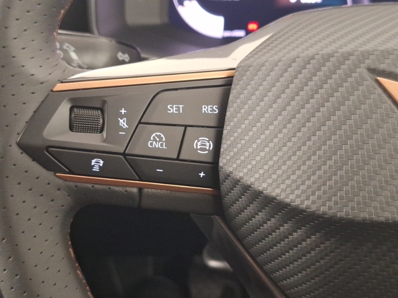 Cupra Leon 1.5 Etsi V2 Dsg Euro 6 Ss Grey #12