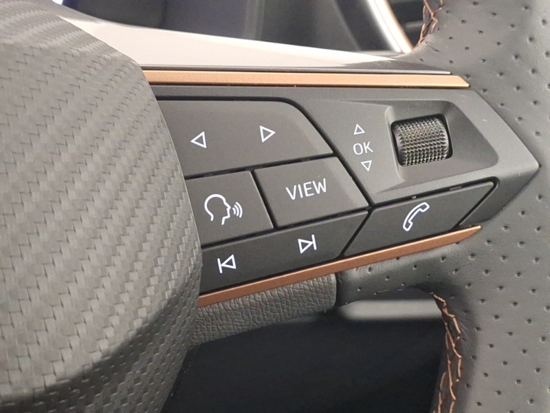 Cupra Leon 1.5 Etsi V2 Dsg Euro 6 Ss Grey #13