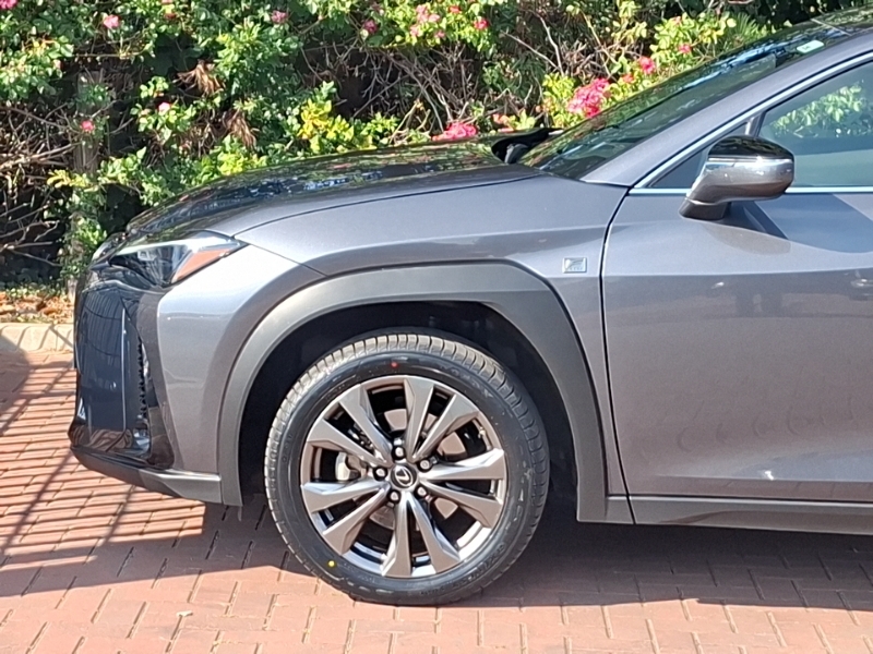Lexus UX Ux 300E Orange #19
