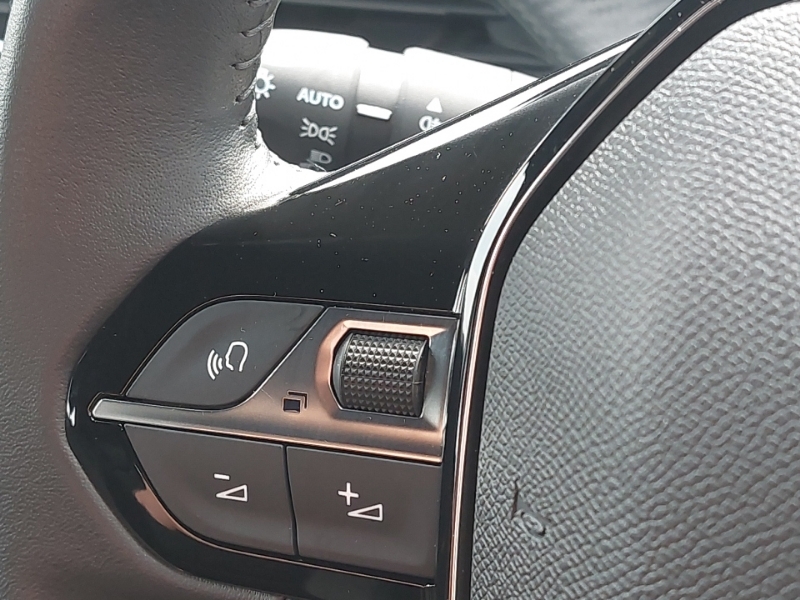 Peugeot 2008 Active Grey #12