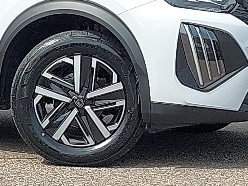Peugeot 2008 Active Grey #20