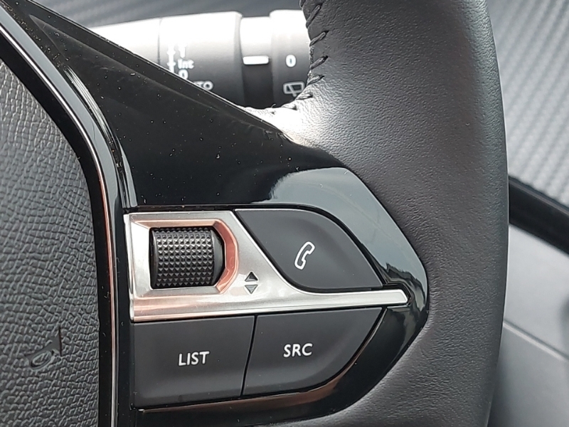 Peugeot 2008 Active Grey #13