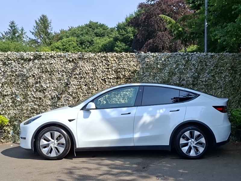 Tesla Model Y Long Range Awd White #4